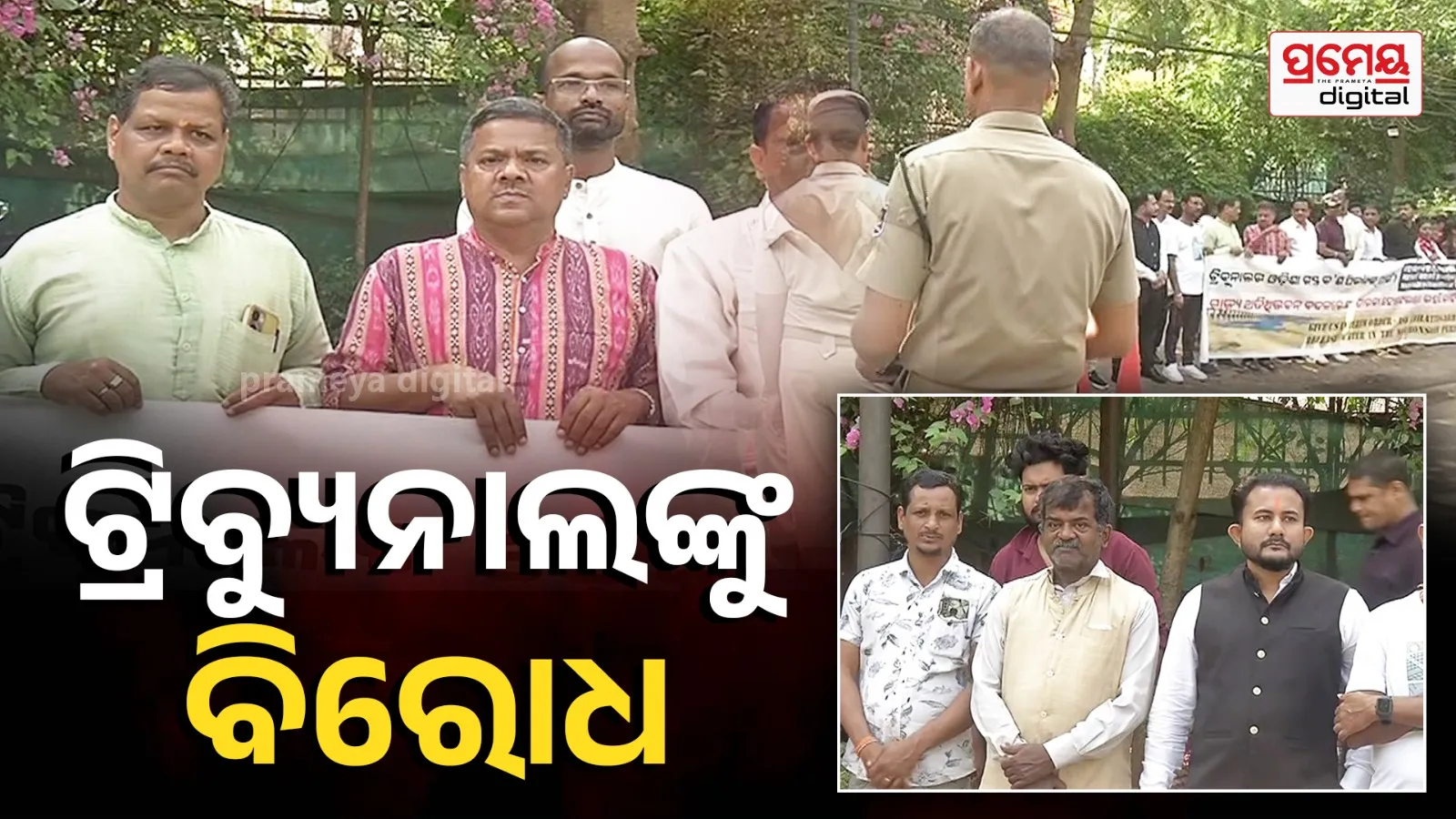 Mahanadi Tribunal