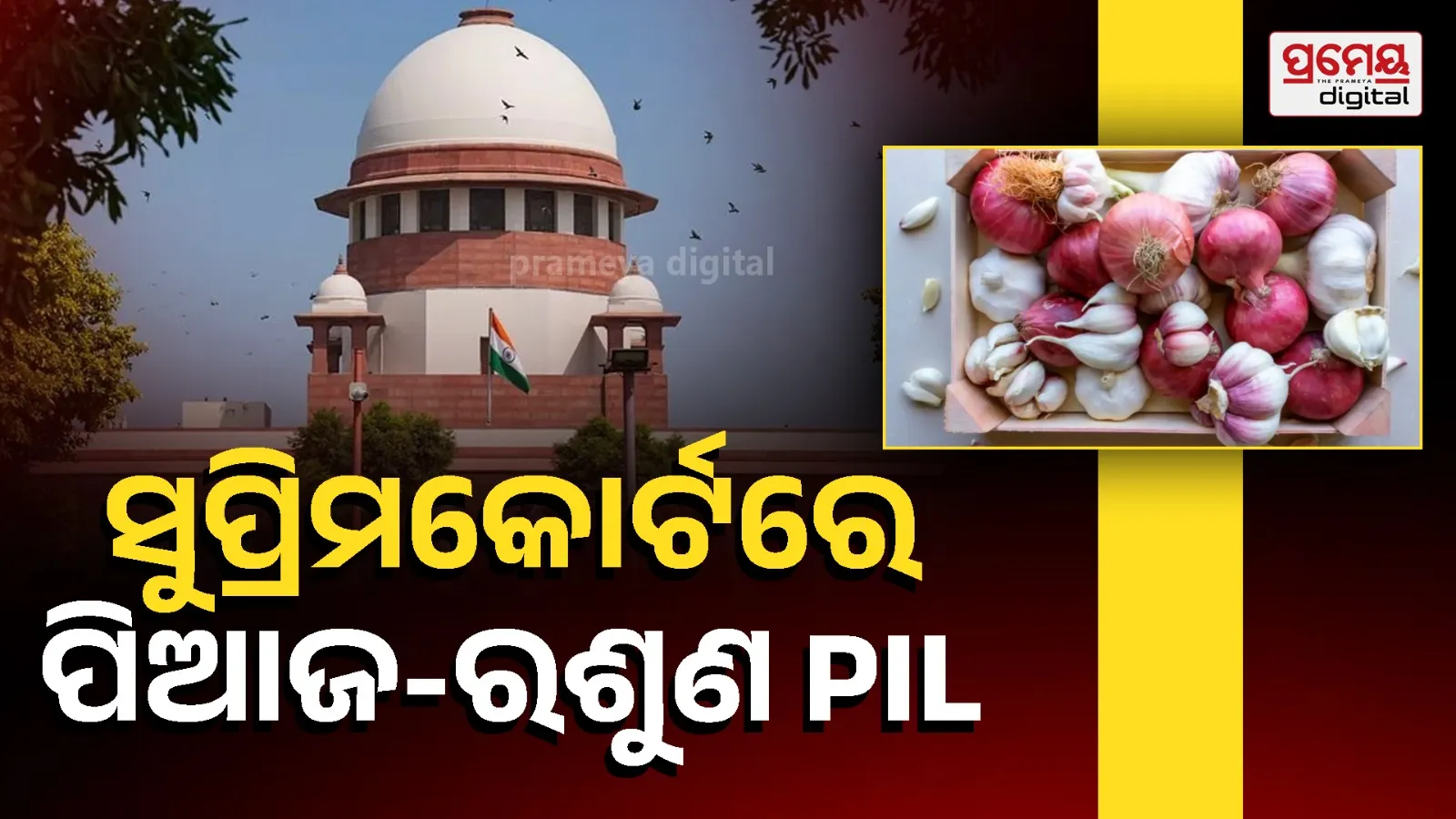 supreme court