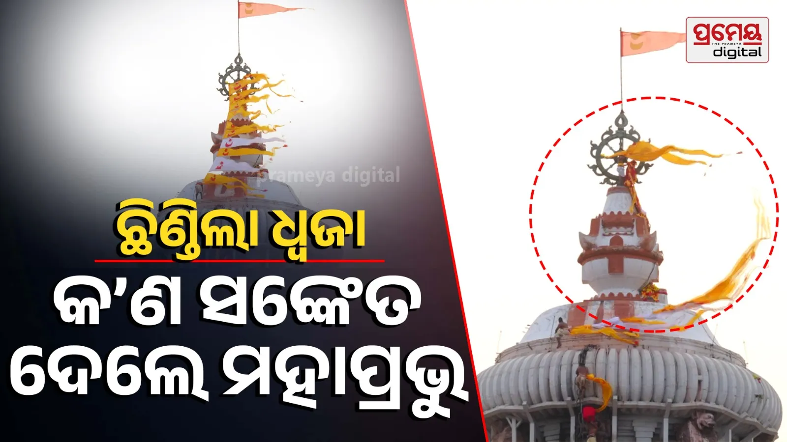puri 