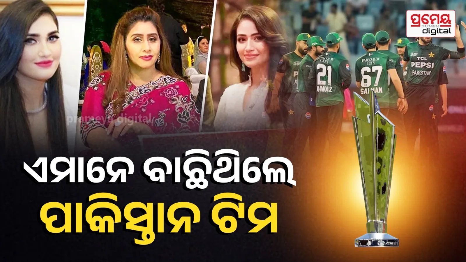 Ahmed Shehzad players wives Pakistan cricket team selection influence