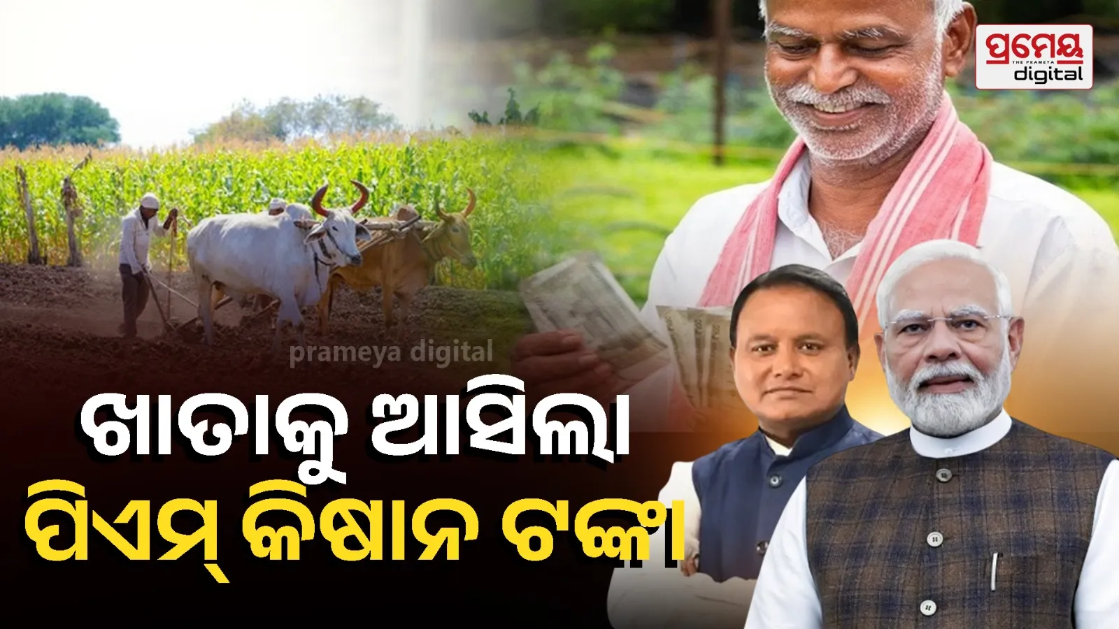 PM Kisan Samman Nidhi 22nd Installment Released: Check Your Bank Account