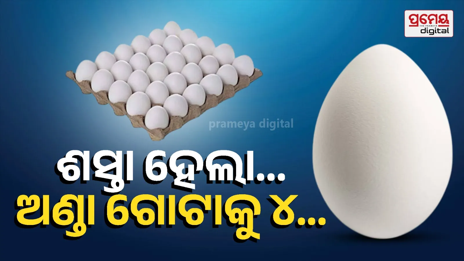 Egg Prices Fall Amid War Effects: Rs 140 per Tray