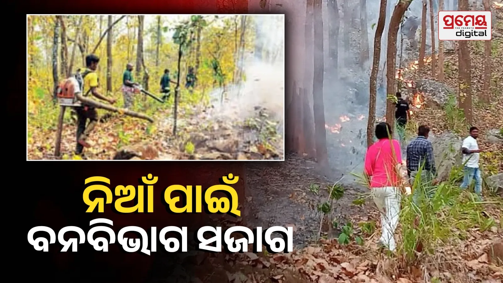 fire