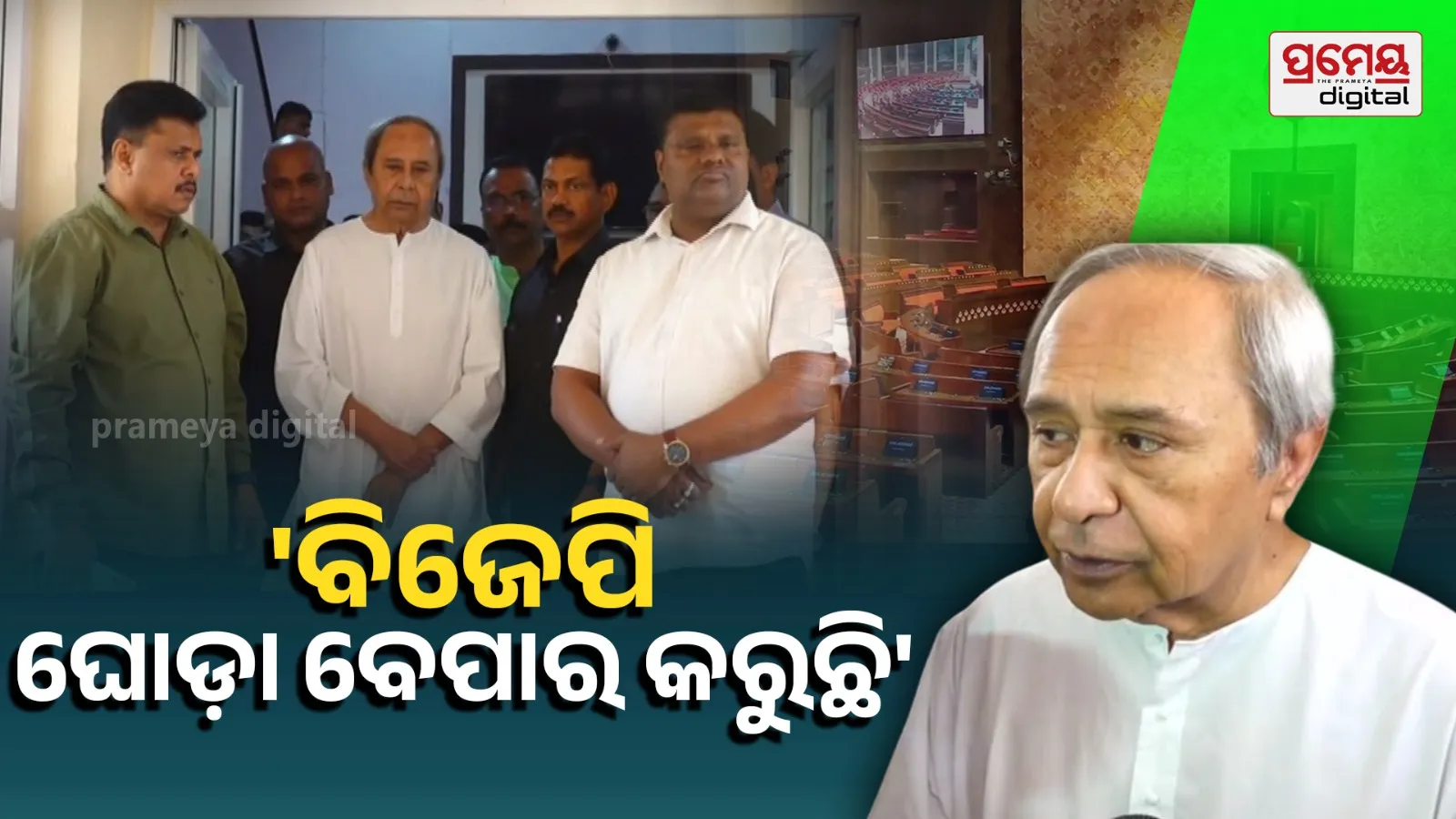 bjd