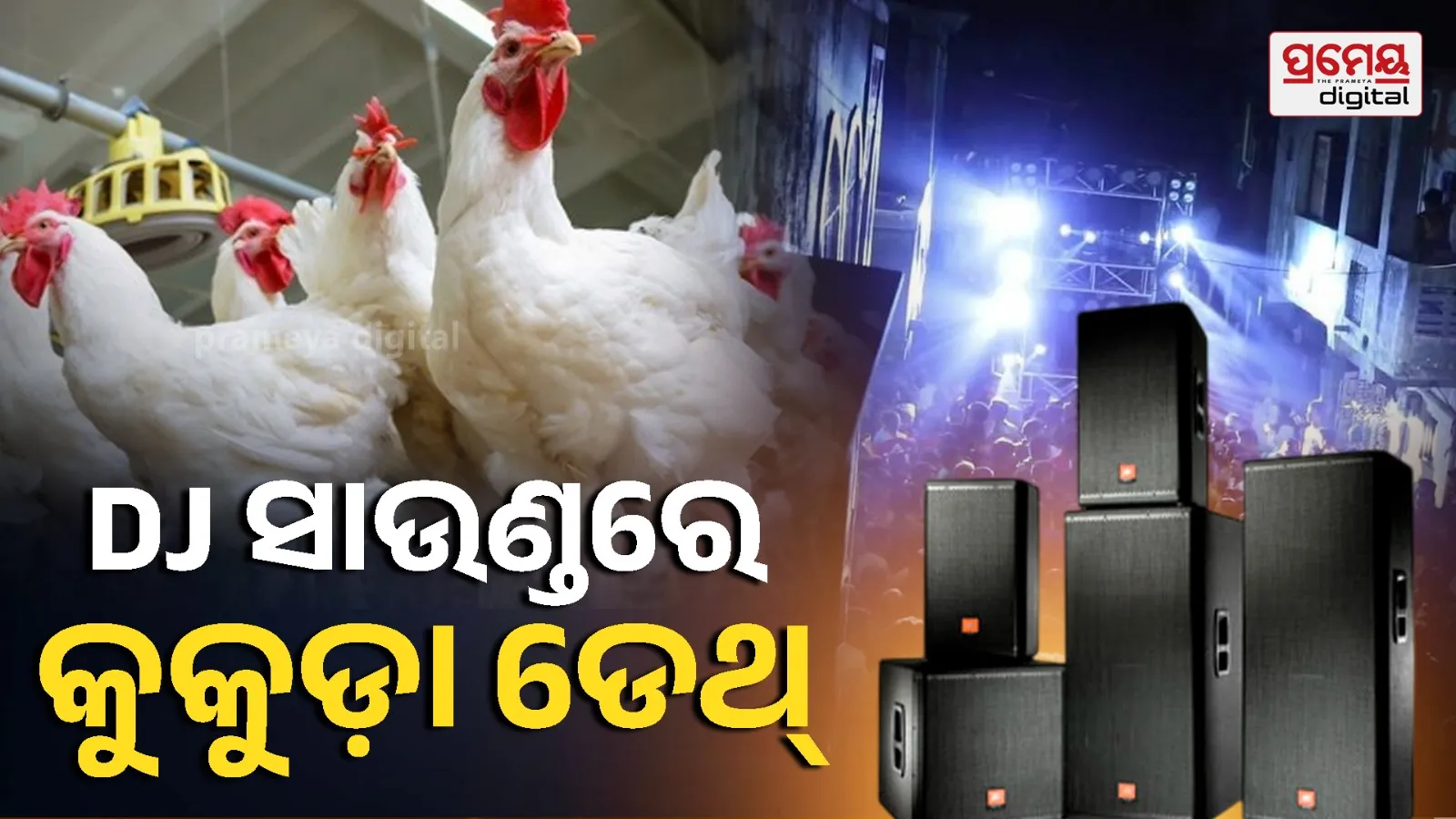 chiken