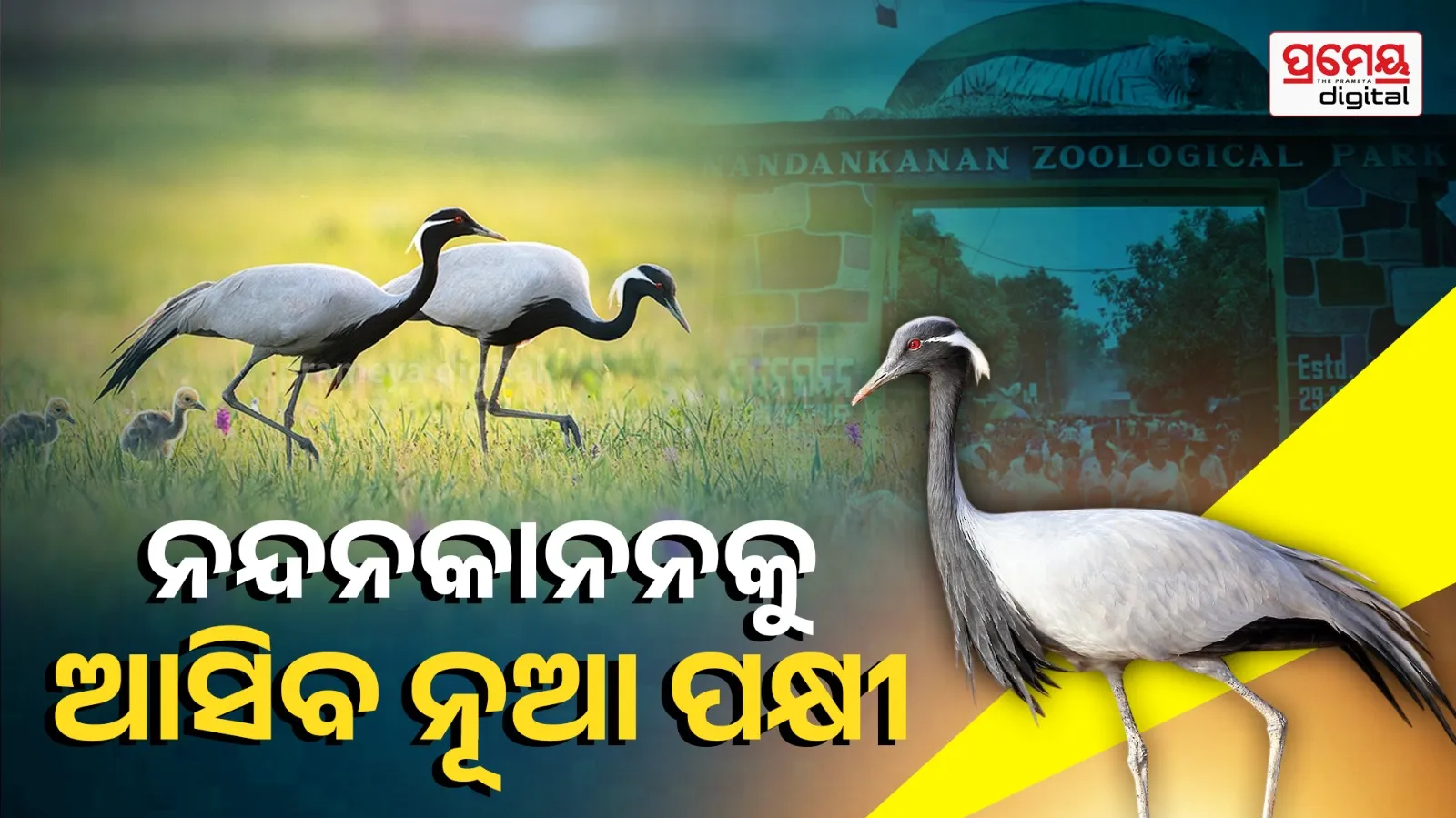nandankanan