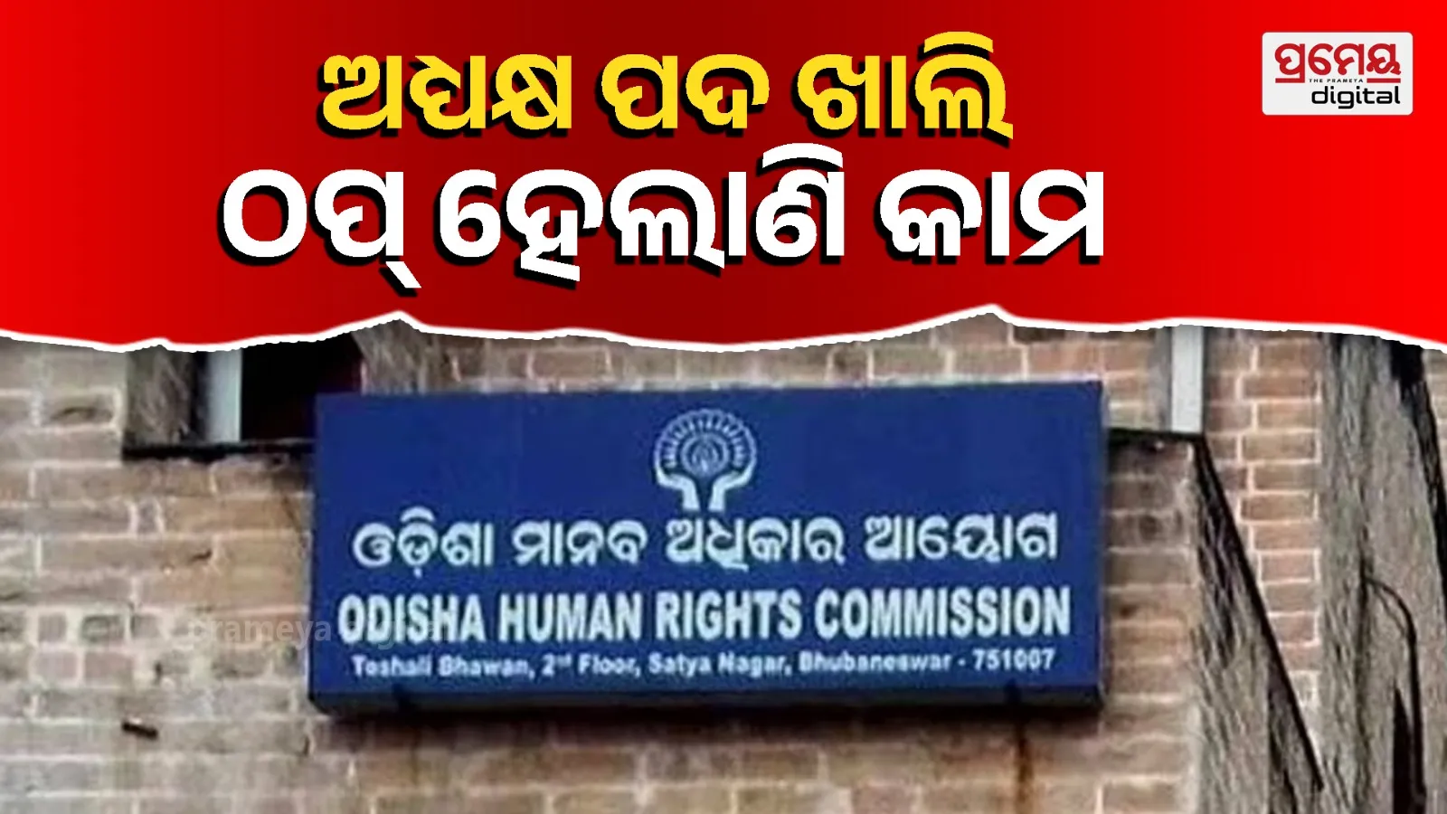 Human Rights Crisis