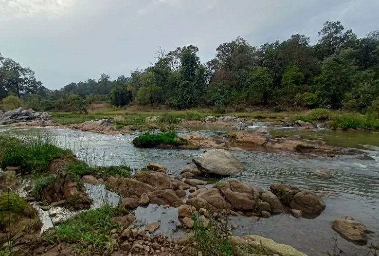 saptadhara