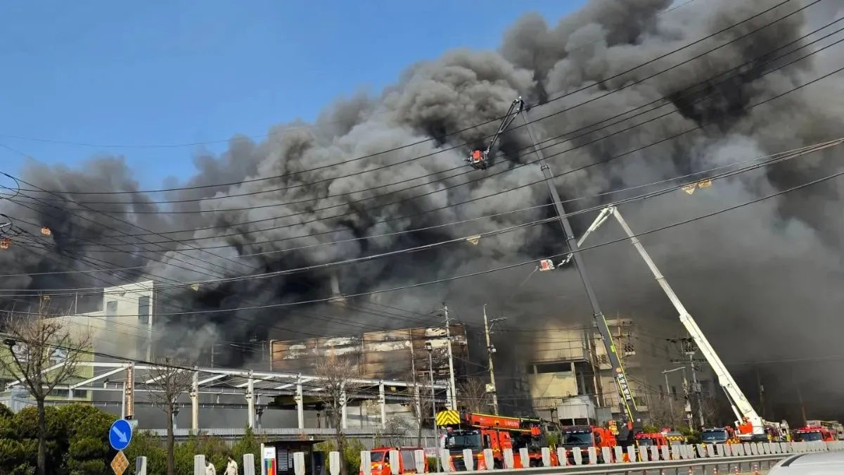 fire tragedy