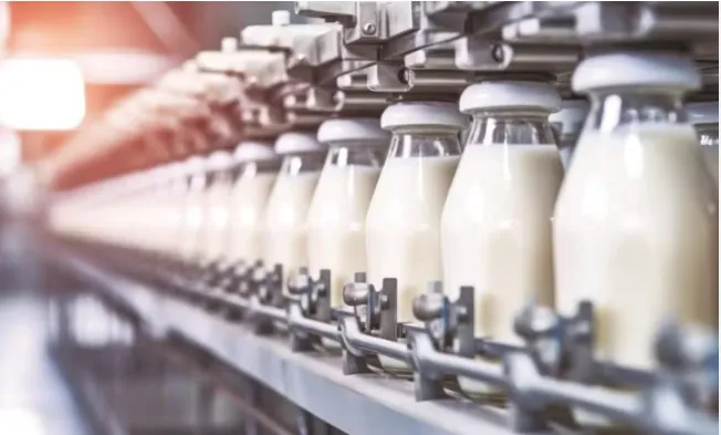 Milk Adulteration Tragedy in Andhra Pradesh Leaves 16 Dead