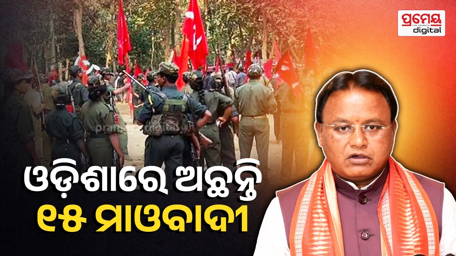 naxals