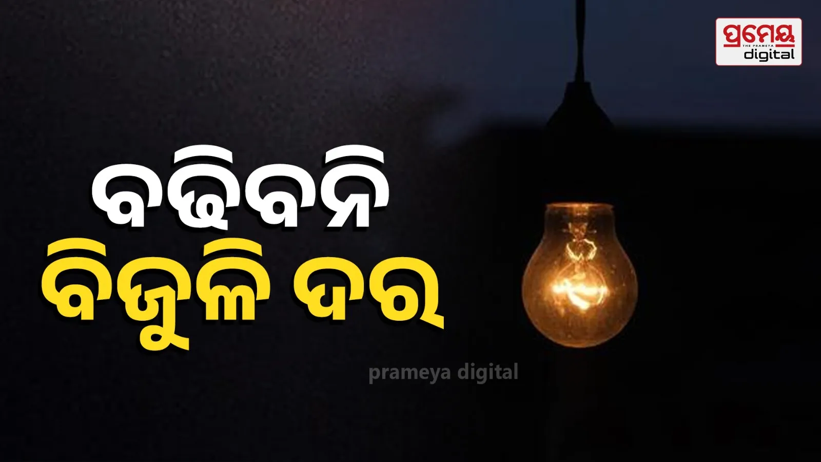 Electricity rates will not be increased this year either