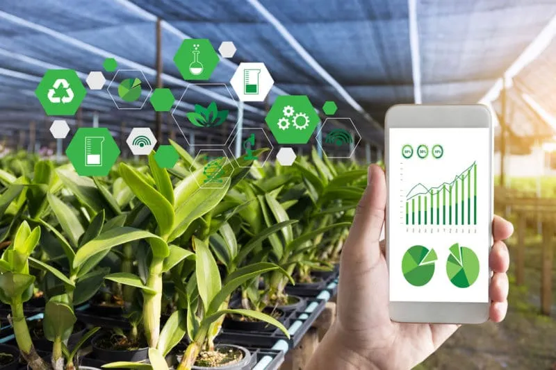 IoT in environmental protection.