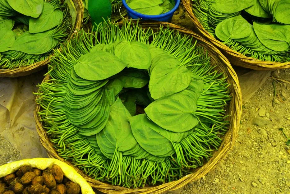  Betel Leaves