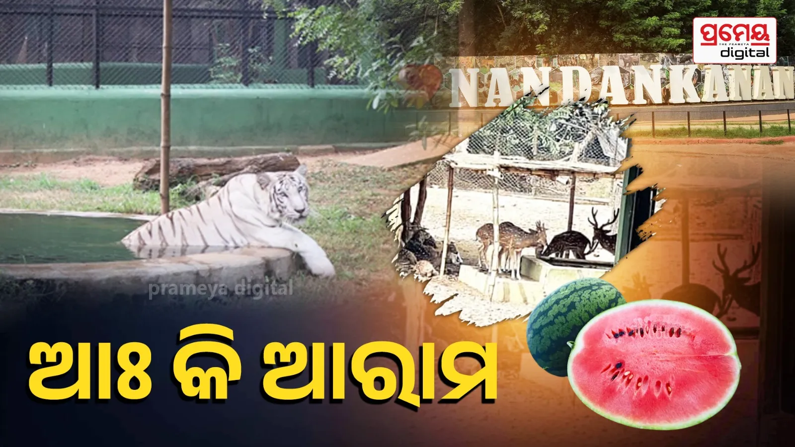nandankanan