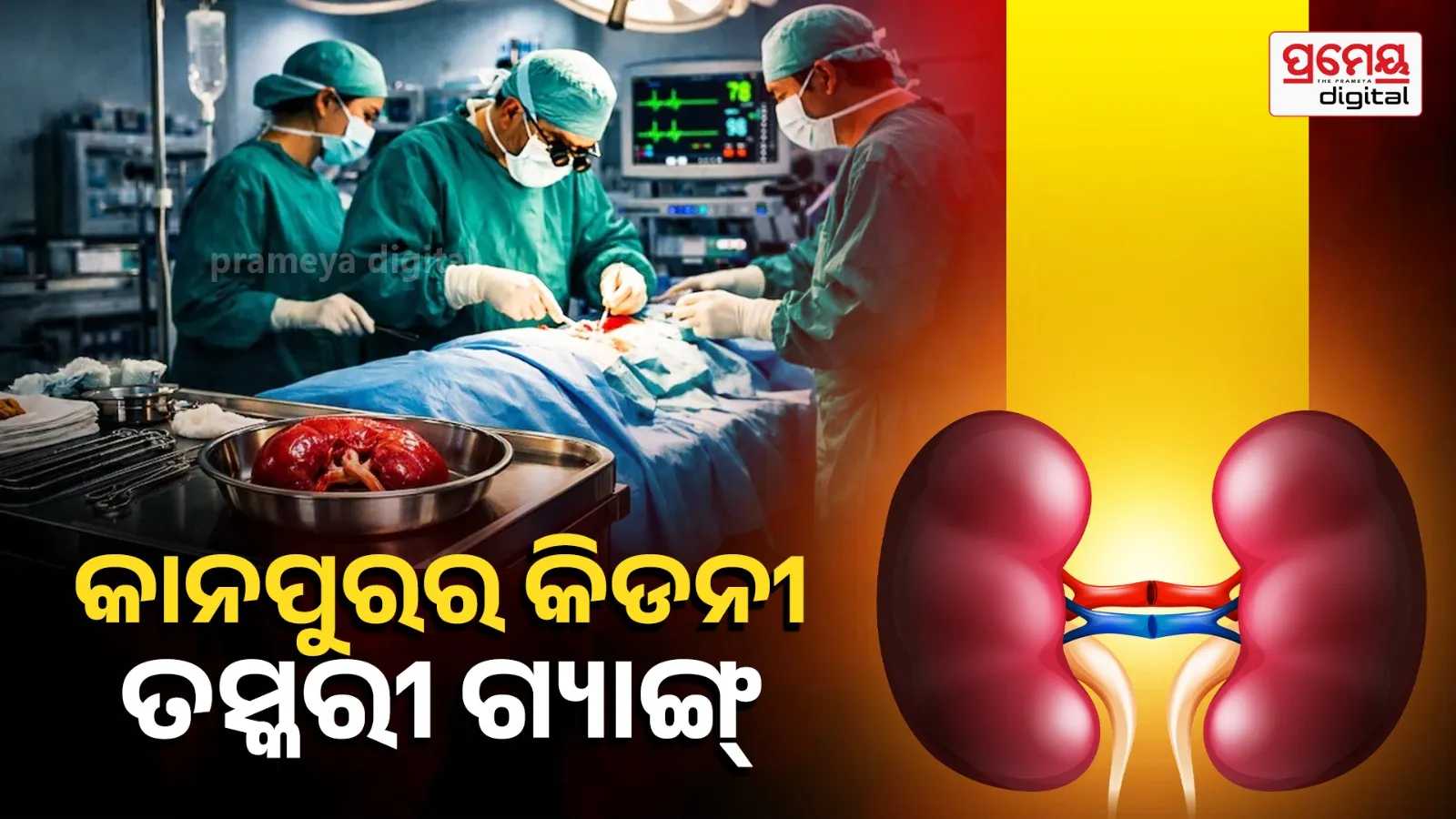 Kidney Racket