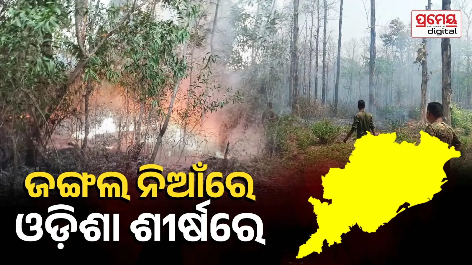 Odisha Tops India in Forest Fires