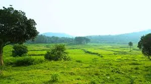 Government Orders Forest Land Delimitation and Lease Map Revision – Revenue Secretary Directive