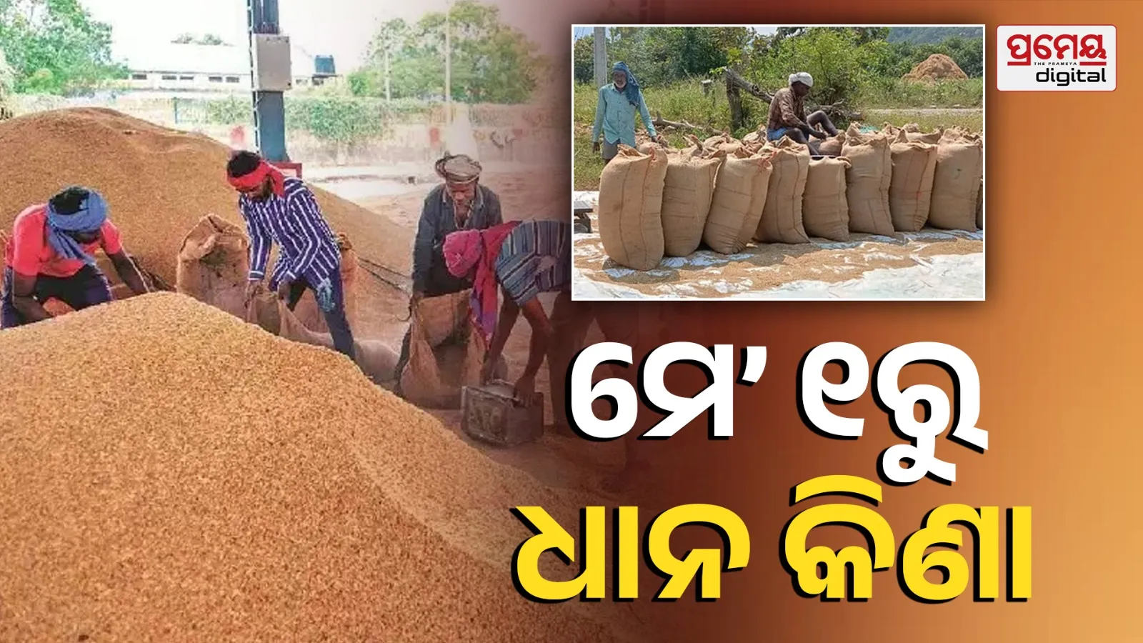 Rabi Paddy Procurement 