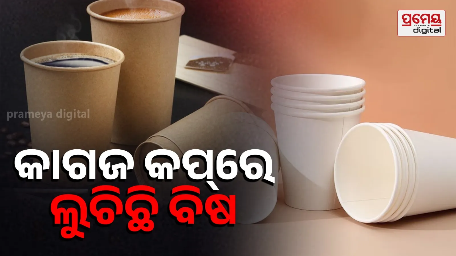 paper cup