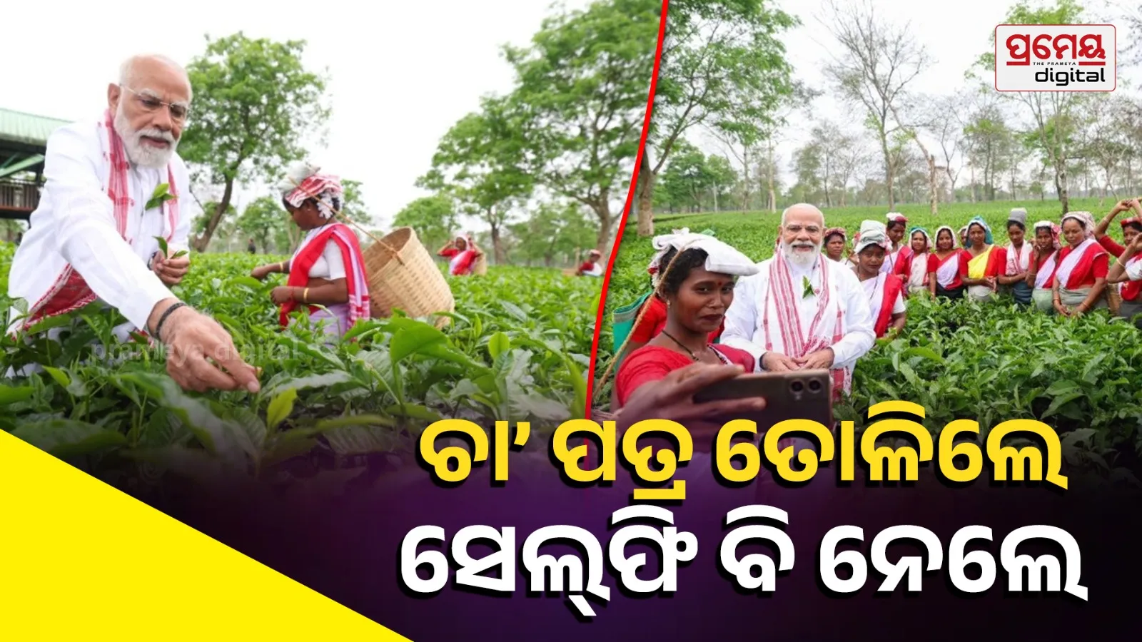 PM Modi Connects with Women Workers at Assam Tea Garden