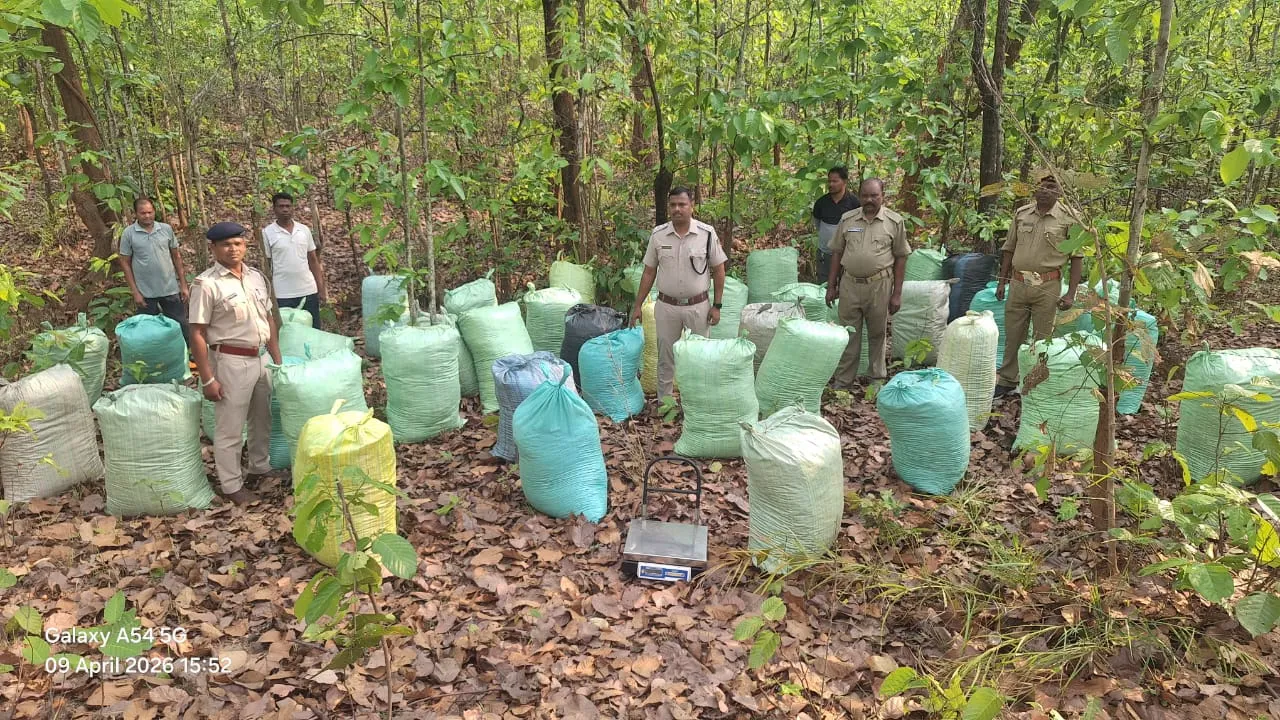 Over two tons of marijuana seized