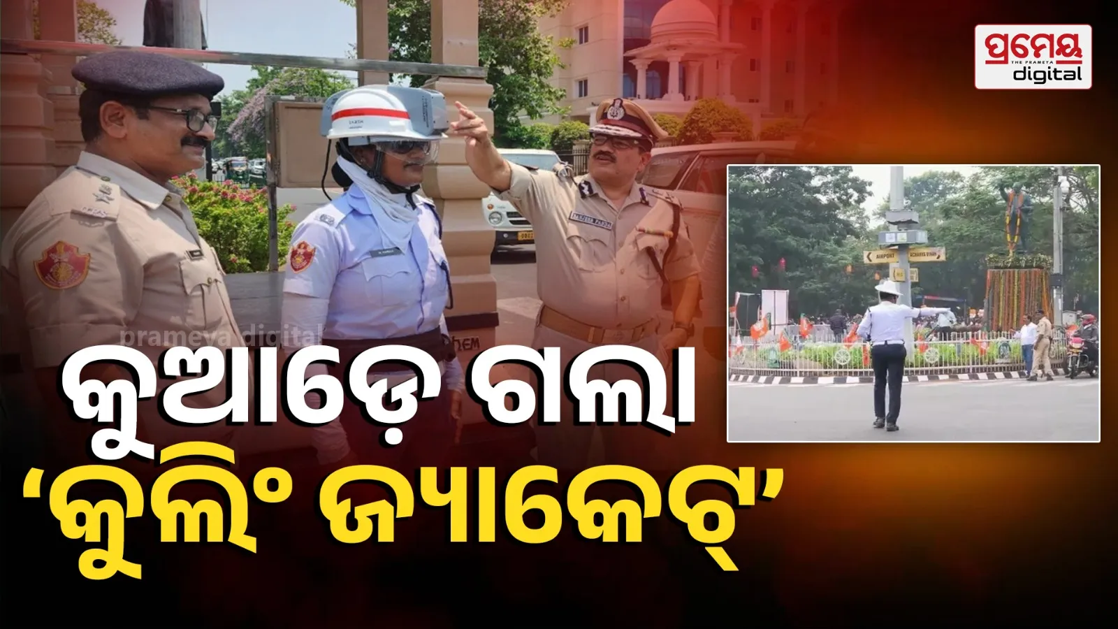 traffic police