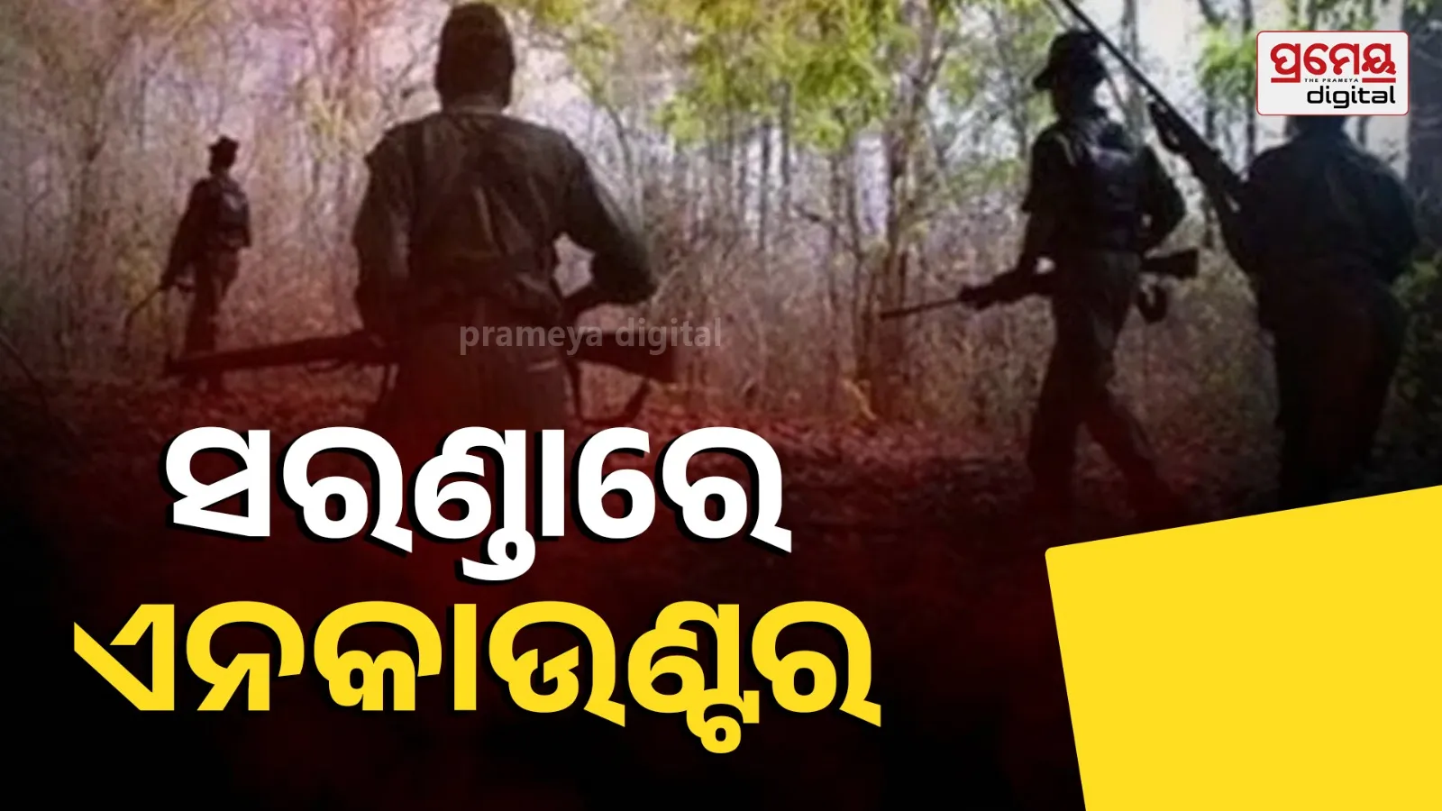 Saranda Forest encounter