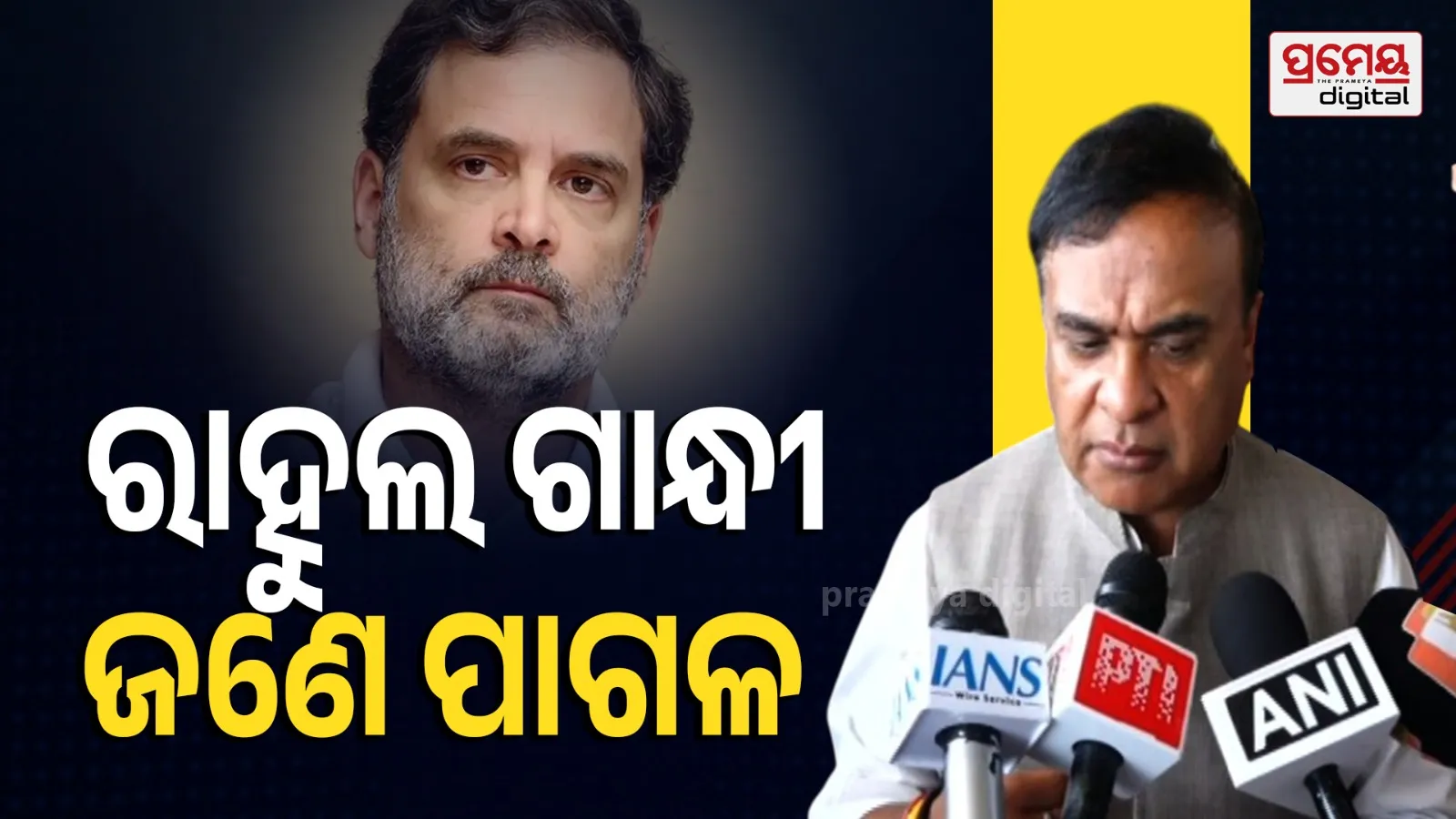 Himanta Biswa Sarma