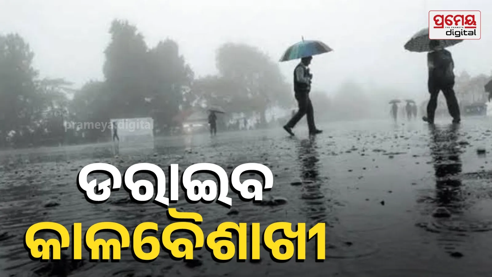 Rain in the next 24 hours. Thunderstorms and rain are likely