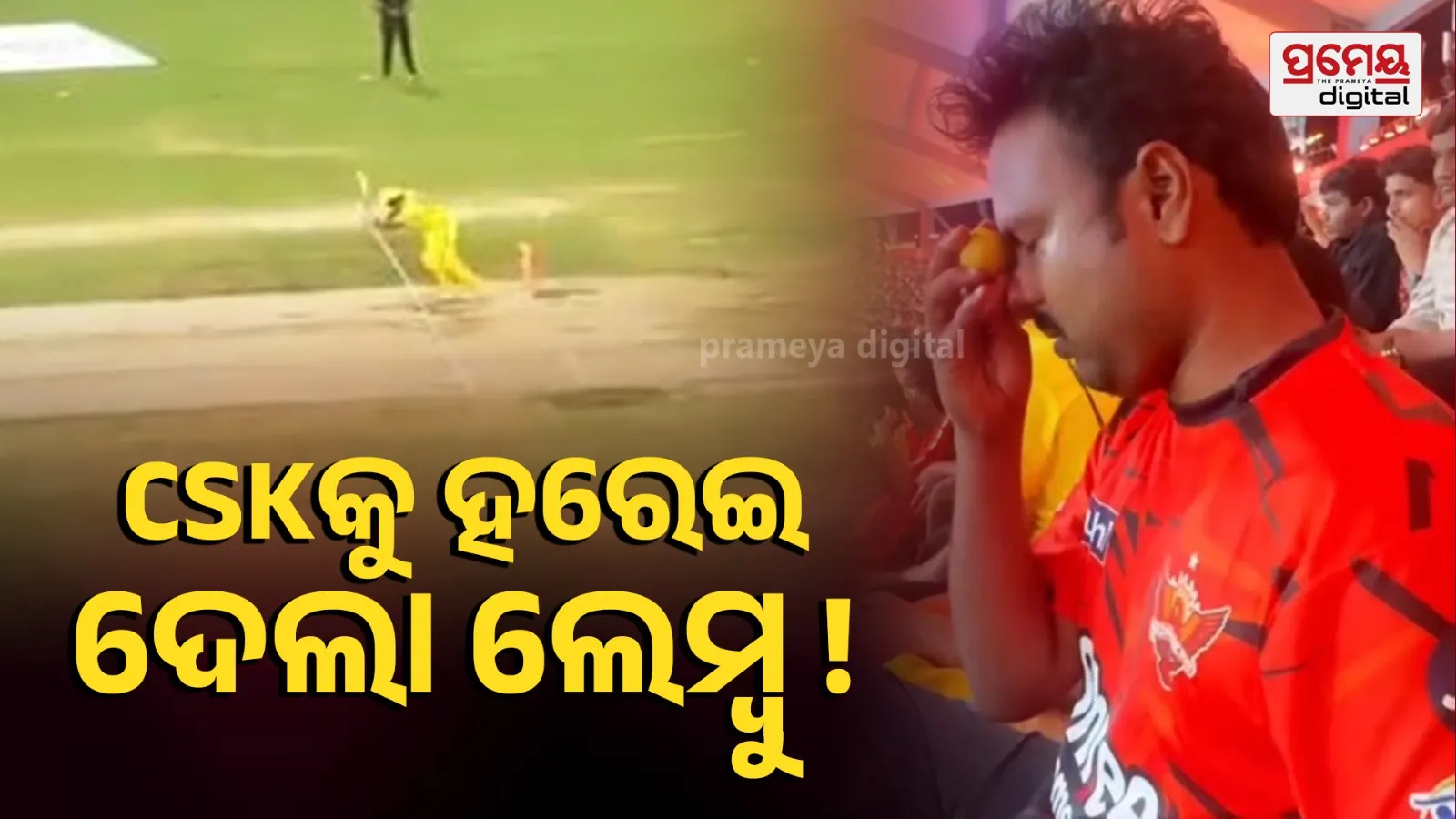 IPL 2026: SRH Fan Uses Lemon ‘Black Magic’ After Wicket vs CSK, Viral Video Breaks Internet