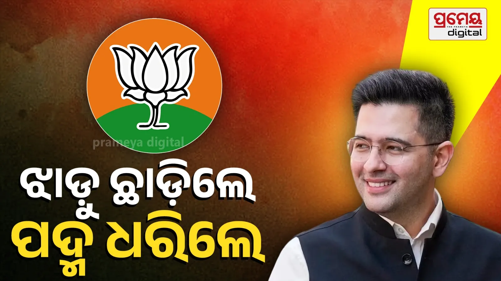 Raghav Chadha & Sandeep Pathak PC: 2/3 AAP Rajya Sabha MPs Merge with BJP