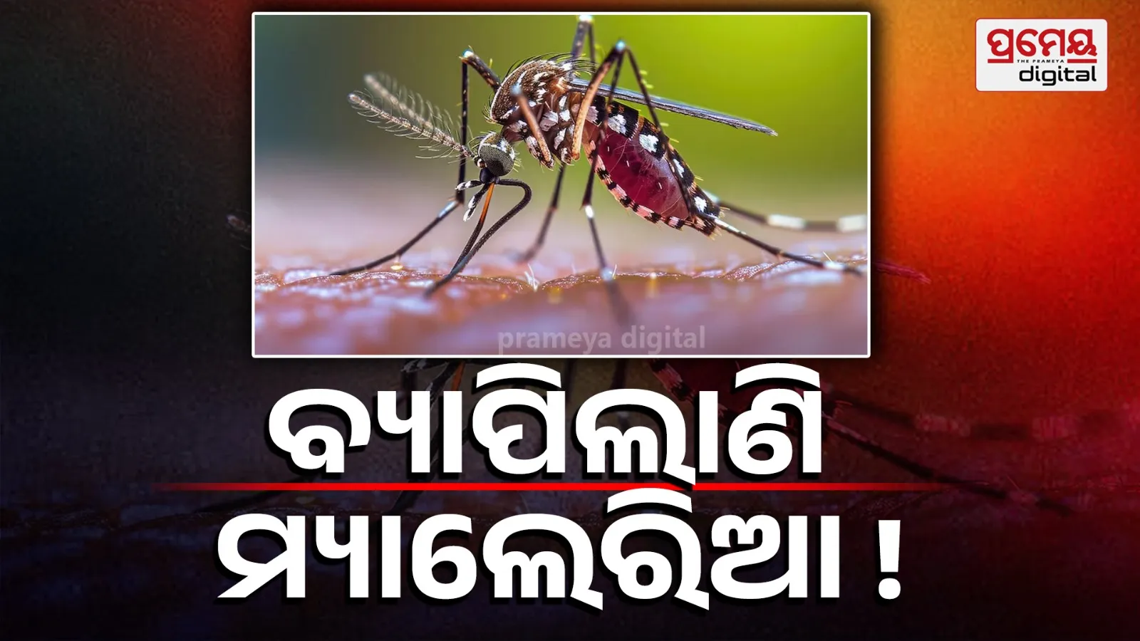 malaria