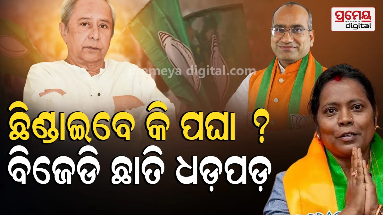 bjd