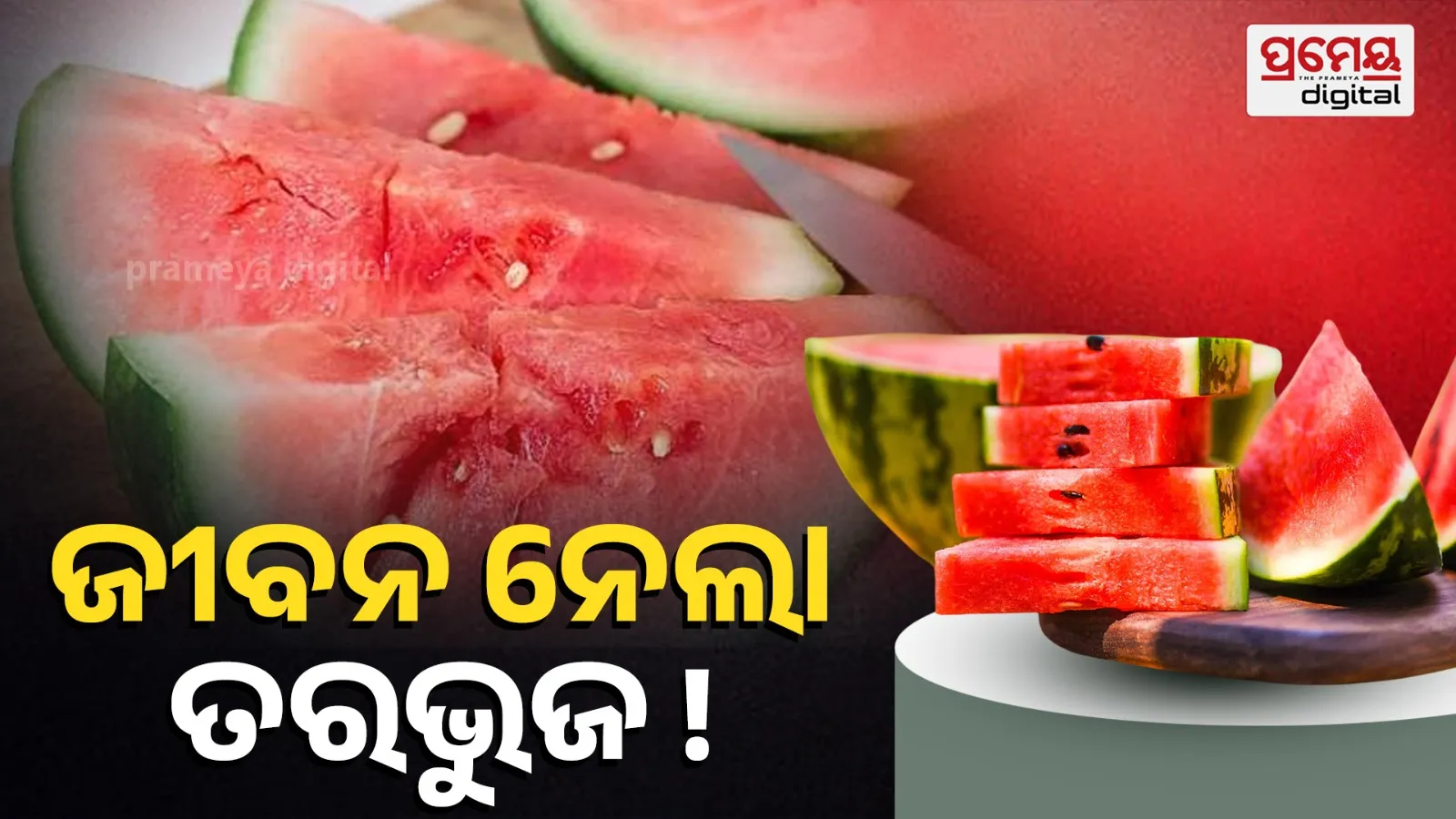 Four Die in Mumbai After Consuming Biryani and Watermelon, Probe Underway
