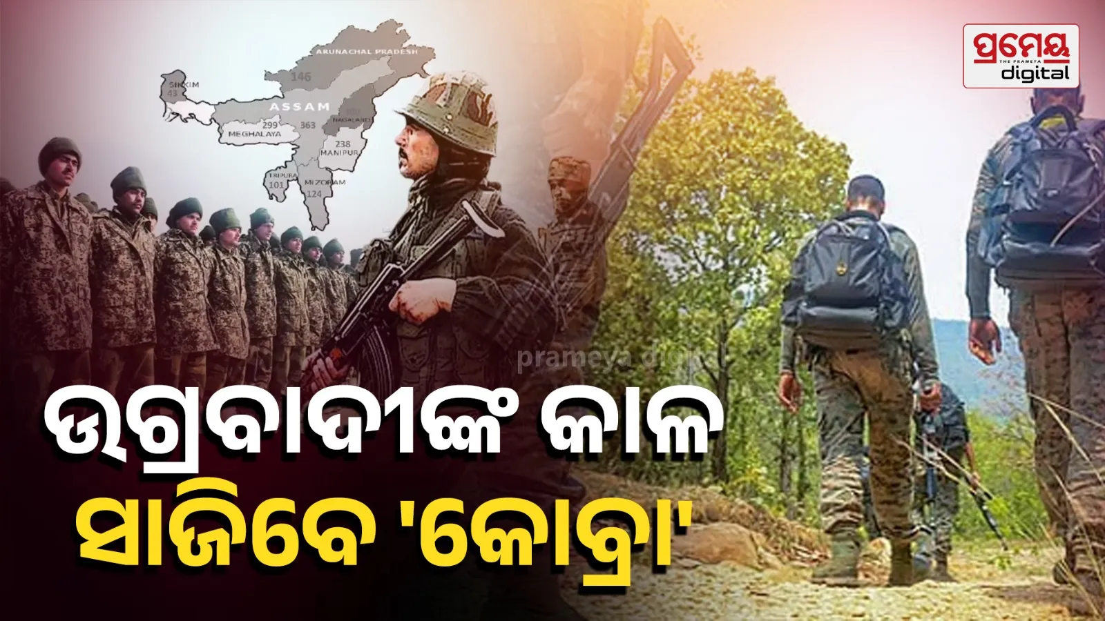 Northeast insurgency India