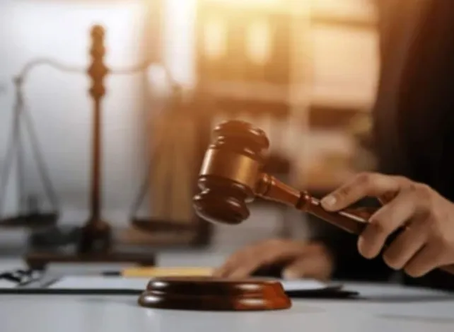 Delhi High Court Bars Bacca Bucci Shoe Sales