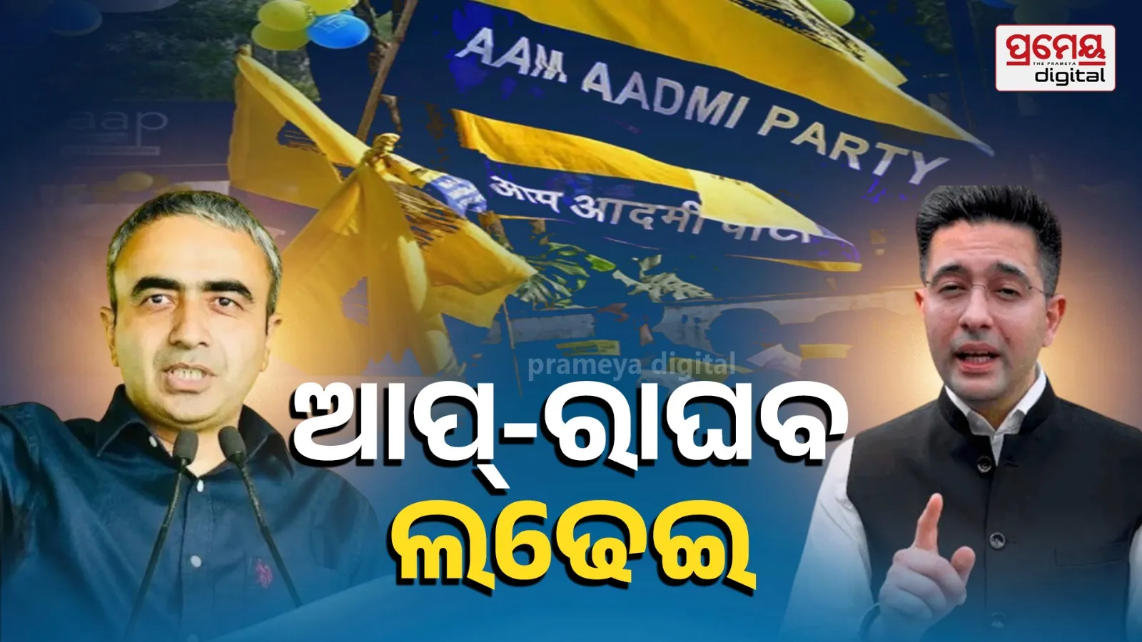 AAP tells Raghav Chadha