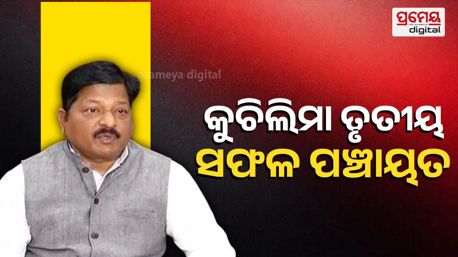 bjd
