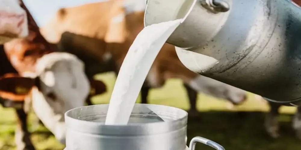 Omfed milk farmers will get Rs 1 more per liter, effective from May 1