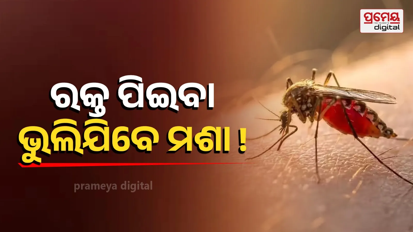 mosquitoes stop biting