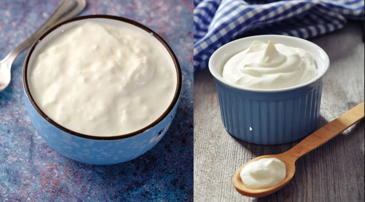 dahi