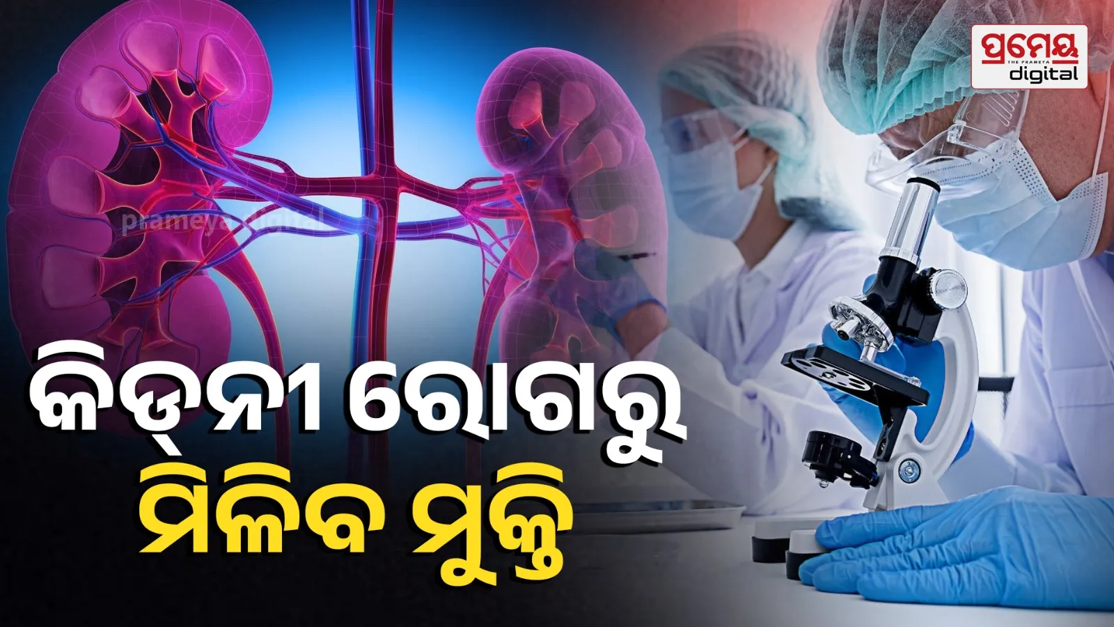 kidney disease