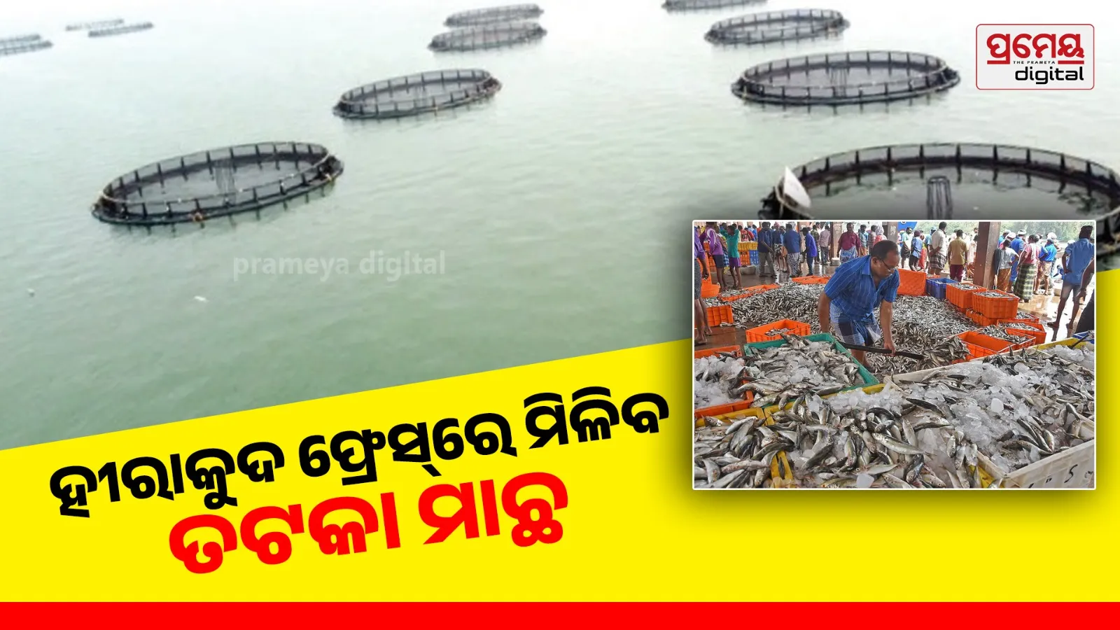 hirakud fresh
