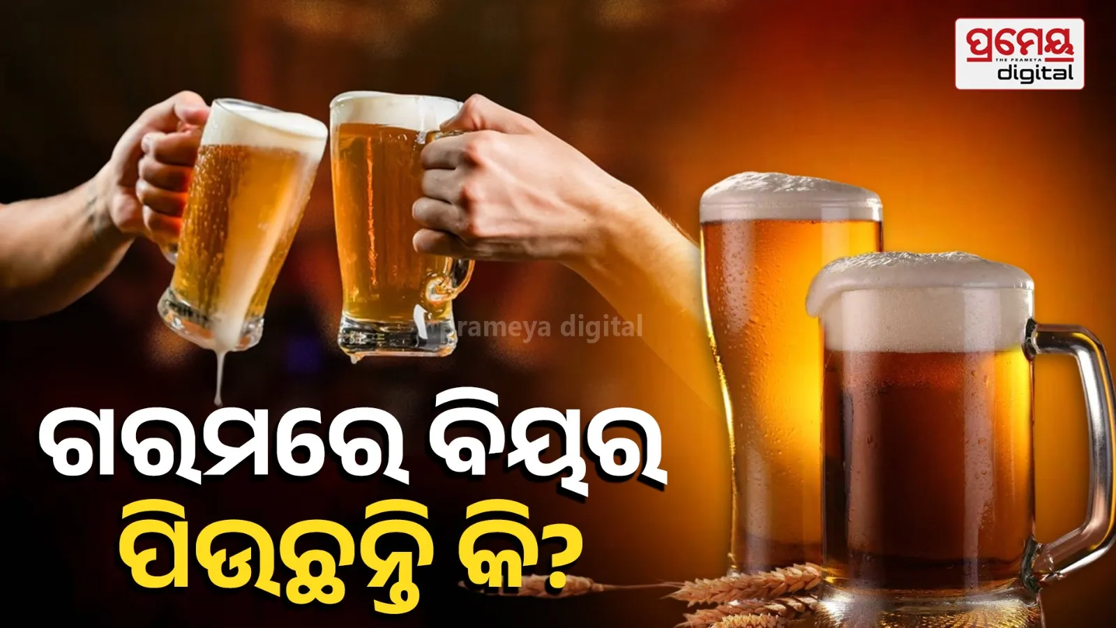 beer
