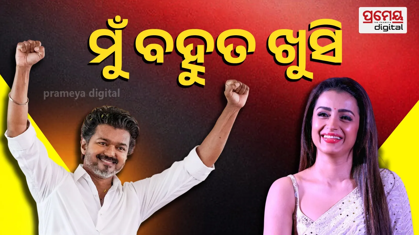 Vijay Tamil Nadu CM News Goes Viral, Trisha Krishnan Responds
