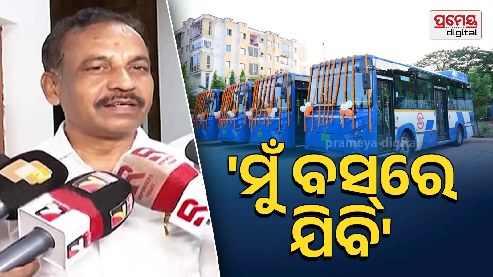 bibhuti bhusana jena