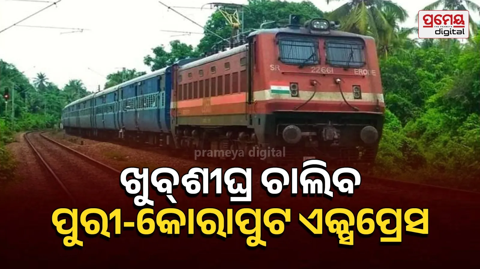 koraput