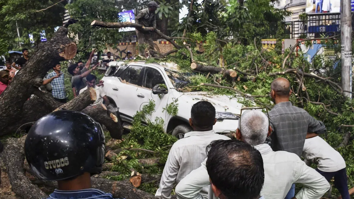 Buildings Collapse, Trees Uprooted as Severe Storm Hits Fatehpur and Bhadohi