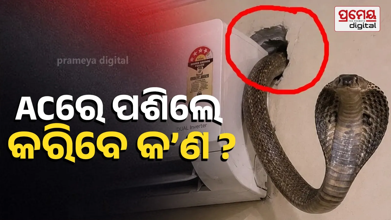 how to stop snakes entering home